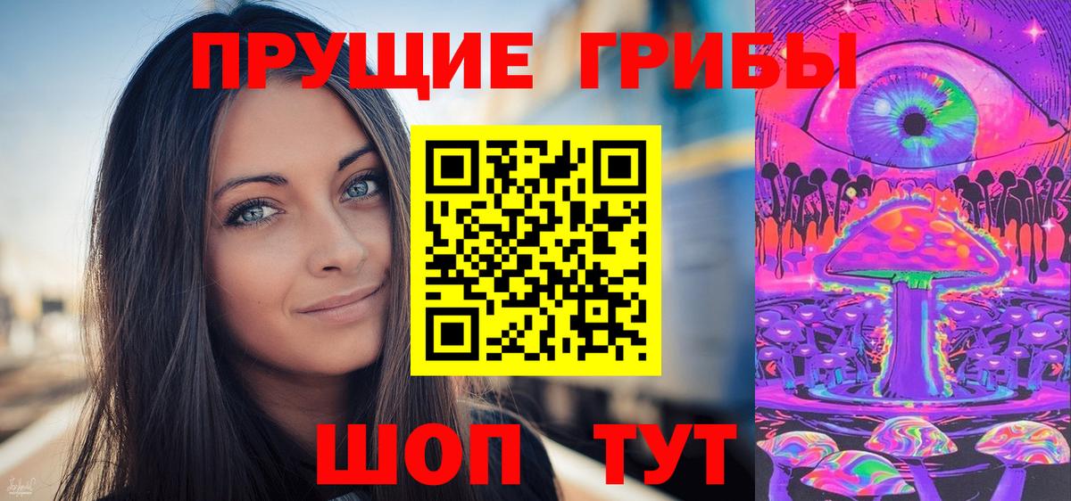 Галлюциногенные грибы Psilocybe Йошкар-Ола