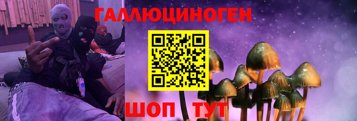 Псилоцибиновые грибы Psilocybe  Вход с VPN  где купить   Йошкар-Ола  Галлюциногенные грибы ЛСД 